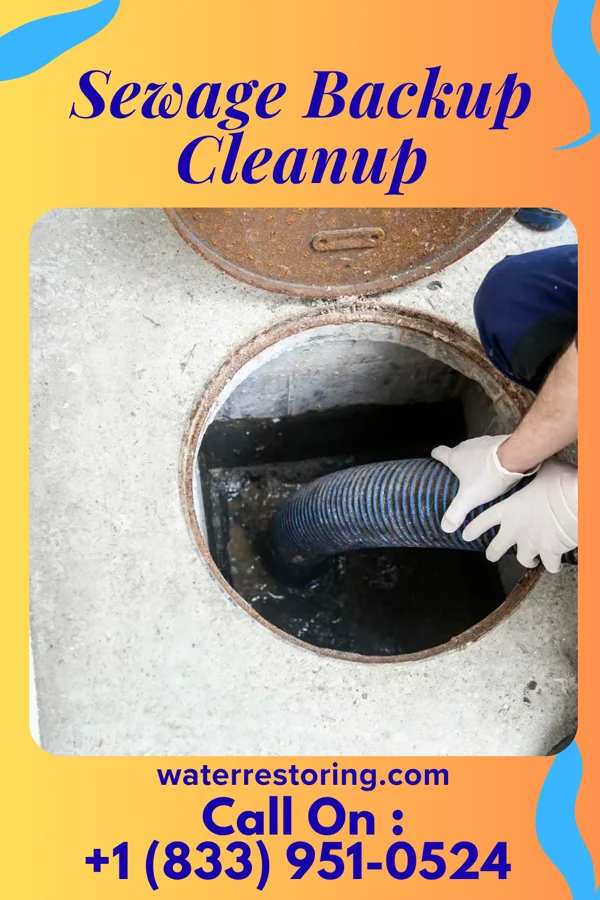 Sewage Backup Cleanup in River Bottom, OK